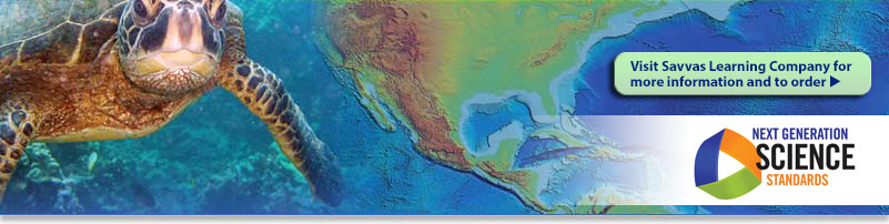 image of a sea turtle and a Bathymetry map